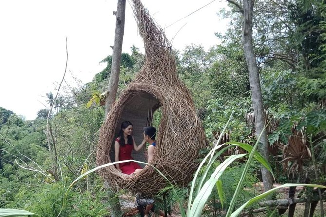 Best of Ubud Full Day Private Guided Tour - Happy Swing Bali and the price of the perfect photo