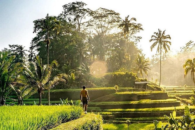 Best of Ubud - Full day Tour + FREE WI-FI - Key points to know before you book