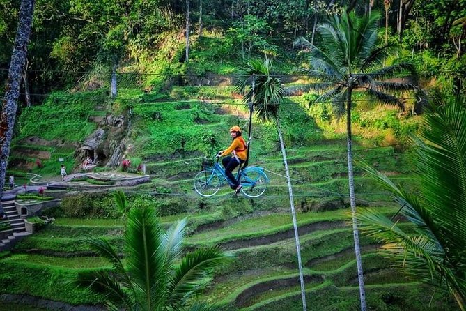 Best of Ubud - Full day Tour + FREE WI-FI - Tegalalang explains Bali’s famous rice terraces