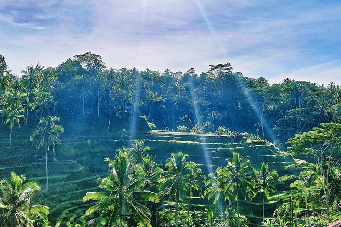 Best of Ubud - Full day Tour + FREE WI-FI - Tegenungan Waterfall starts the day with a short walk