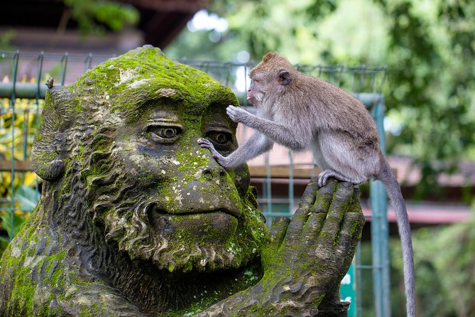 Best of Ubud Full-Day Tour with Jungle Swing - Why this Ubud day works for first-time visitors