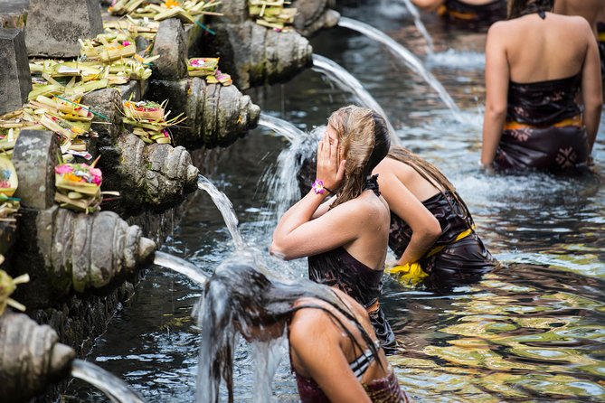 Best of Ubud Full-Day Tour with Jungle Swing - D Alas Warung: lunch with a jungle setting