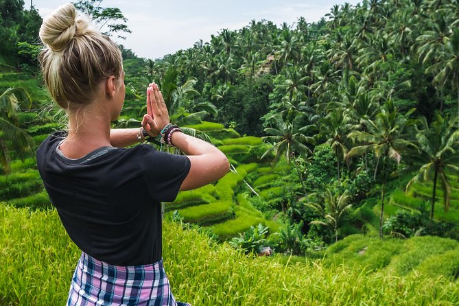 Best of Ubud Full-Day Tour with Jungle Swing - What the private guide adds