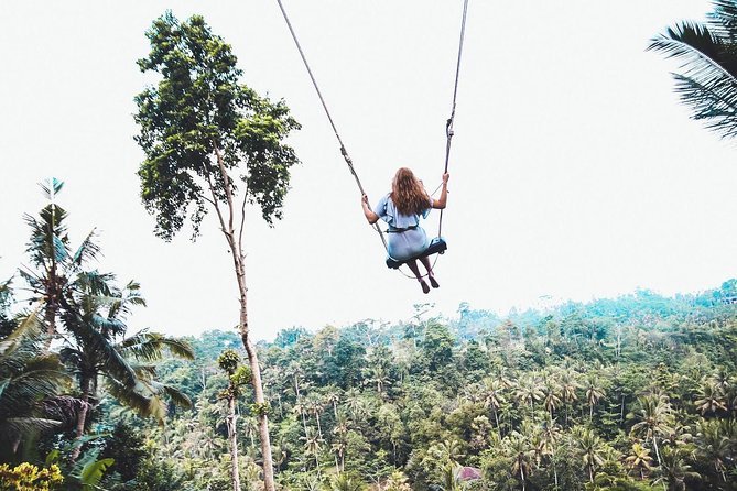 Best of Ubud Full-Day Tour with Jungle Swing - Monkey Forest: shaded paths and cheeky residents