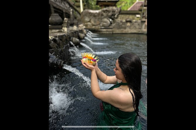 Best of Ubud: Jungle, Temples & Swing - Tegalalang Rice Terrace and the subak system