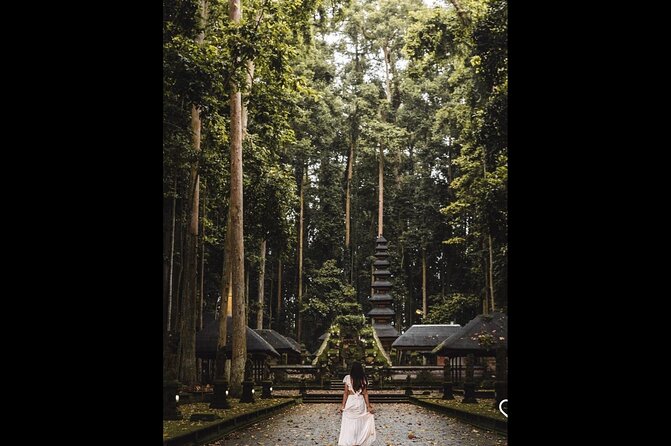 Best of Ubud: Jungle, Temples & Swing - What the guide adds to the day