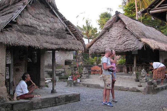 Best of Ubud Private Day Tour with All Inclusive - Tegallalang shows Bali’s working rice country