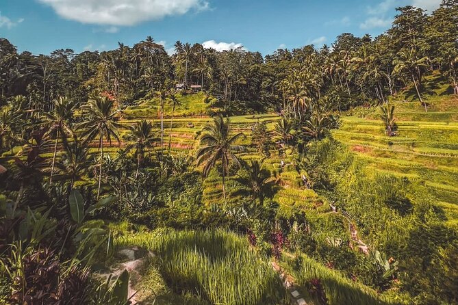 Best Of Ubud Private Day Tour With Local Guide - Seeing Silver Craft in Celuk Village