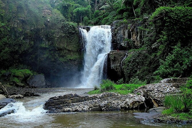 Best Of Ubud Private Day Tour With Local Guide - The Cost at $51.51 Per Person