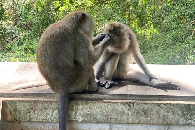 Best Of Ubud Private Day Tour With Local Guide - Timing, Traffic, and How to Make the Day Work