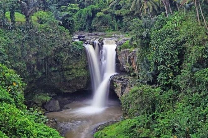 Best of Ubud Private Tour with Jungle Swing Experience - Walking beneath the trees at Sacred Monkey Forest