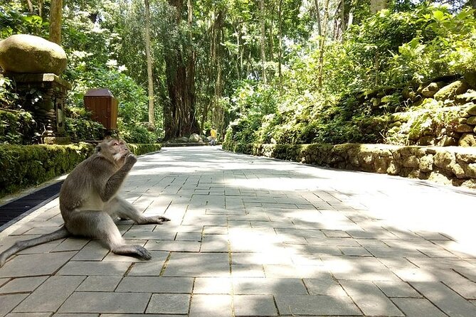 Best of Ubud Private Tour with Jungle Swing Experience - Browsing Ubud Traditional Art Market
