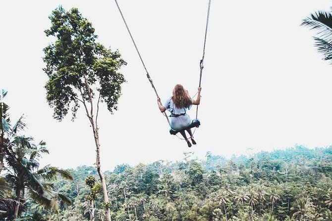 Best of Ubud Private Tour with Jungle Swing Experience - Tegenungan Waterfall and the first dose of nature