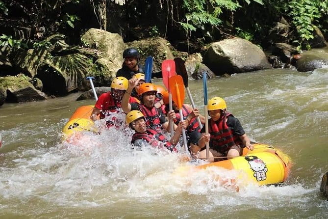Best Of Ubud Rafting And Swing All Inclusive - Happy Swing Bali and the photo stop
