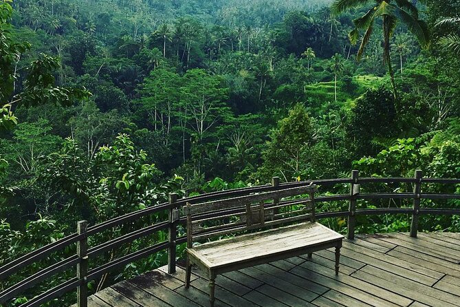 Best of Ubud: Rice Terrace, Temple and Waterfall Private Tour - Sacred Monkey Forest: temples beneath the trees