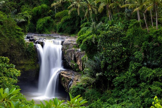 Best of Ubud: Rice Terrace, Temple and Waterfall Private Tour - Temples, villages, and market stops