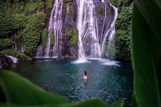 Best Of Ubud Scenic Full Day Private Guided Tour - Tegalalang Rice Terrace and its famous views