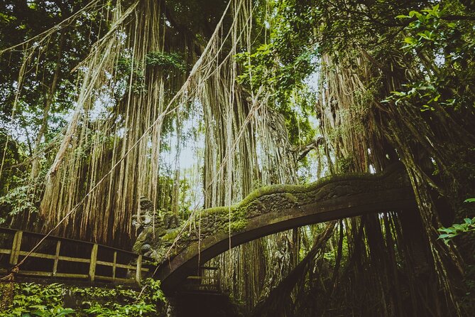 Best of Ubud Sightseeing Private All Inclusive Tour - Tegenungan Waterfall, the day’s natural finale