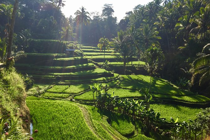 Best of Ubud Waterfalls, Tegalalang Rice Terrace and Swing Tour - Tibumana Waterfall and a calmer setting