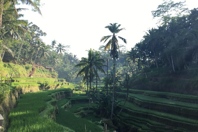 Best of Ubud Waterfalls, Tegalalang Rice Terrace and Swing Tour - Coffee, herbal tea, and the Uma Pakel stop
