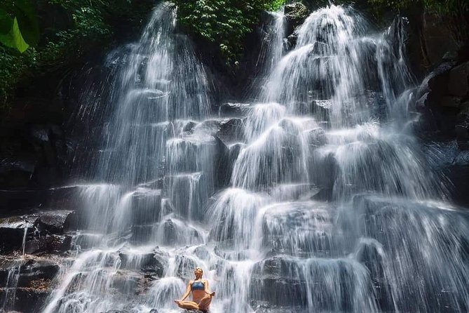 Best of Ubud Waterfalls, Tegalalang Rice Terrace and Swing Tour - What the private transport changes