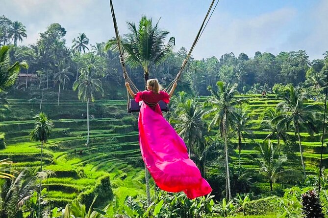 Best of Ubud with Jungle Swing Experience - What this private Ubud day is really designed to do