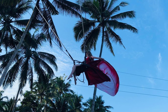 Best of Ubud with Jungle Swing Experience - The jungle swing, Monkey Forest, and Ubud Palace question