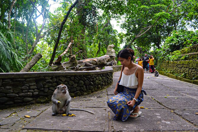 Best Ubud Highlights - Private Day Tour - Tegalalang Rice Terrace: Bali’s famous farm country