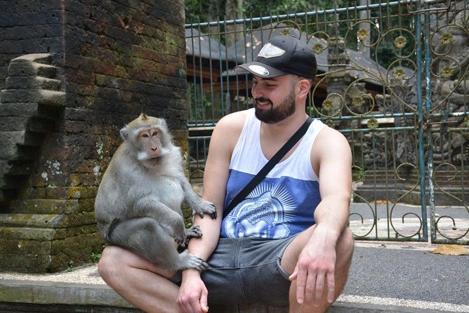 Best Ubud & Tanah Lot Excursion - Why this Bali day trip works