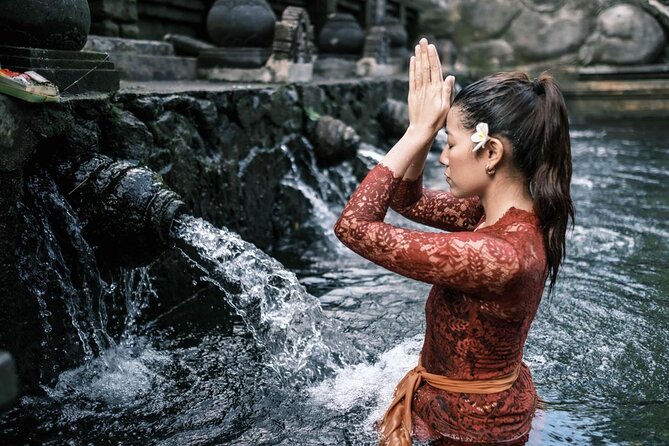 Best Ubud Tour Private Tour All Inclusive Package - The private driver makes the difference