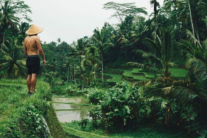 Best Ubud Tours -All inclusive with private driver - Key points at a glance