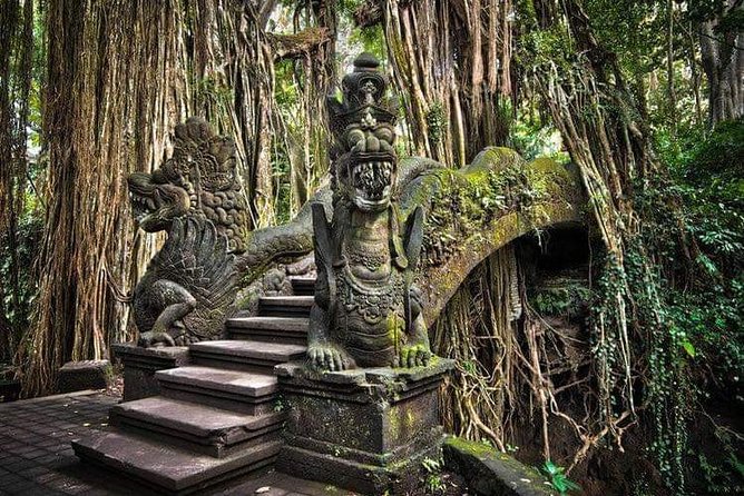 Best Ubud Tours -All inclusive with private driver - What this Ubud day is really designed to do