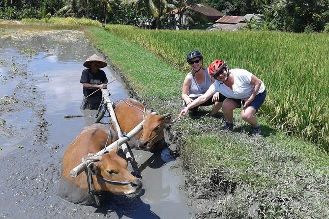 Bike ride in the rice fields, Bali countryside - Meeting Balinese schoolchildren, when school is in session
