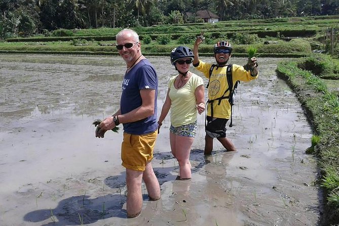Bike ride in the rice fields, Bali countryside - How the guides shape the morning