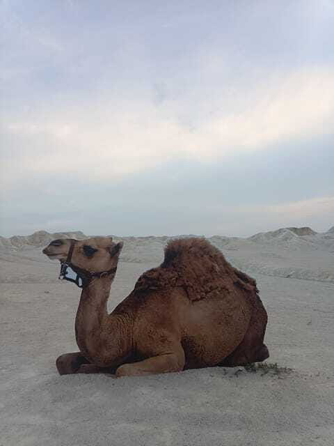 Bintan Desert And Blue Lake Private Tour - My verdict: book it for easy photos, not a full desert adventure