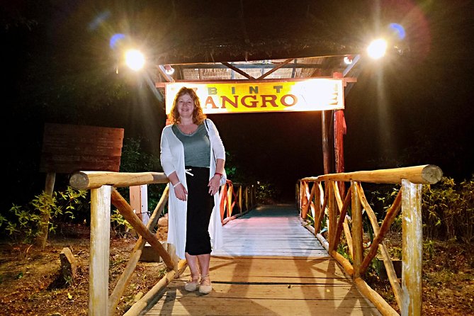 Bintan Fireflies Discovery Tour - What the two-hour schedule actually includes