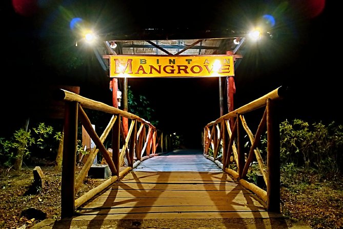 Bintan Fireflies Discovery Tour - Leaving Lagoi with hotel pickup