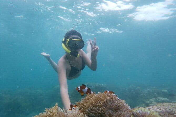 Bintan Island Snorkeling, Kayaking and Fun Fishing Activity - Key points at a glance