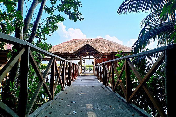 Bintan Mangrove Discovery Tour - Why the Sebung River is the real attraction