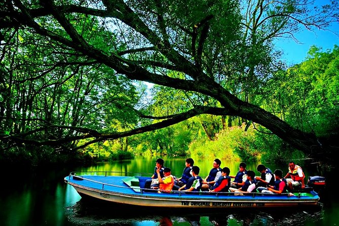 Bintan Mangrove Discovery Tour - Families, older visitors, and different comfort levels