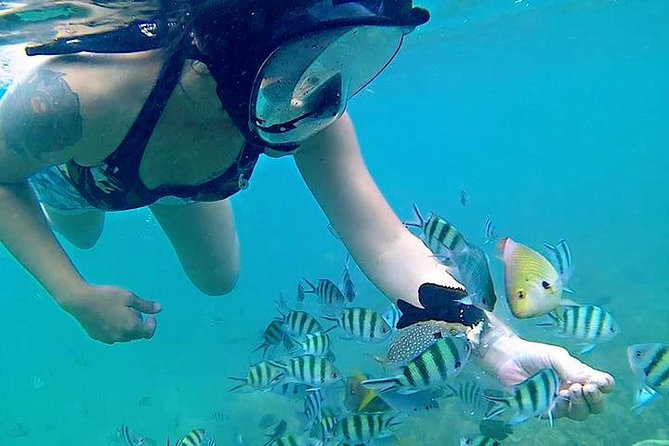 Bintan Snorkeling Tour - From Lagoi to Trikora Beach