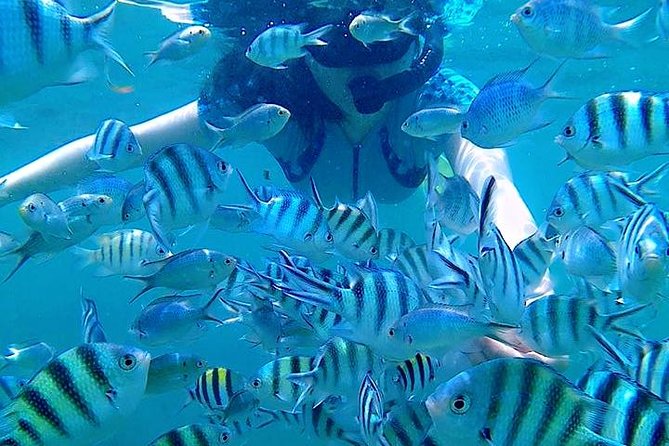 Bintan Snorkeling Tour - What the guide and staff add