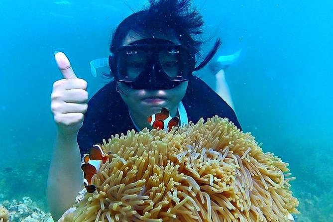 Bintan Snorkeling Tour - Food, photos, and practical inclusions