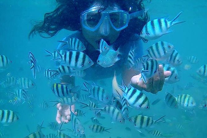 Bintan Snorkeling Tour - Is $52.39 good value?