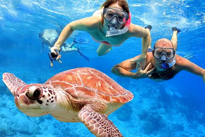 Blow Lagoon Bali Snorkeling and see Bali Bats Cave Temple - Blue Lagoon snorkeling from Padang Bai