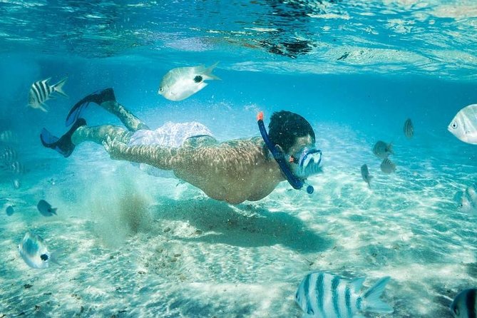 Blow Lagoon Bali Snorkeling and see Bali Bats Cave Temple - Two hours in the water