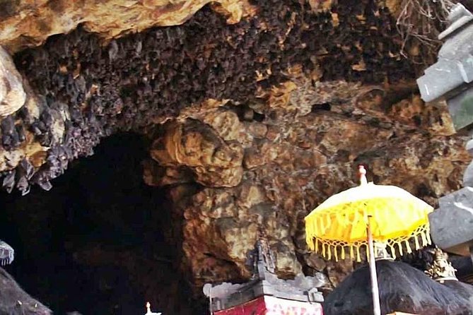 Blow Lagoon Bali Snorkeling and see Bali Bats Cave Temple - Who should book this experience?