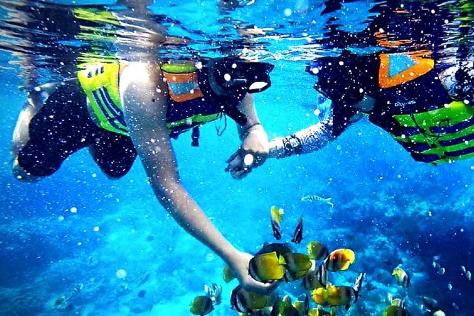 Blue Lagoon Paradise Snorkeling Tour - Key points to know before you book