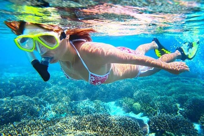 Blue Lagoon Paradise Snorkeling Tour - Blue Lagoon makes snorkeling easy for beginners