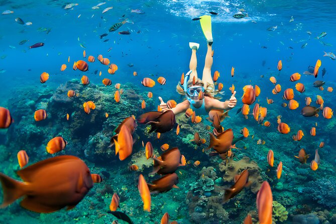 Blue Lagoon Snorkeling and Uluwatu Sunset Tour - Uluwatu Temple brings cliffs and monkeys